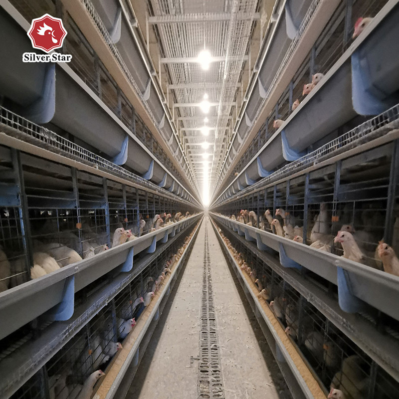 192 Birds / Set Battery Chicken Cage For Broiler Poultry Farming Equipment