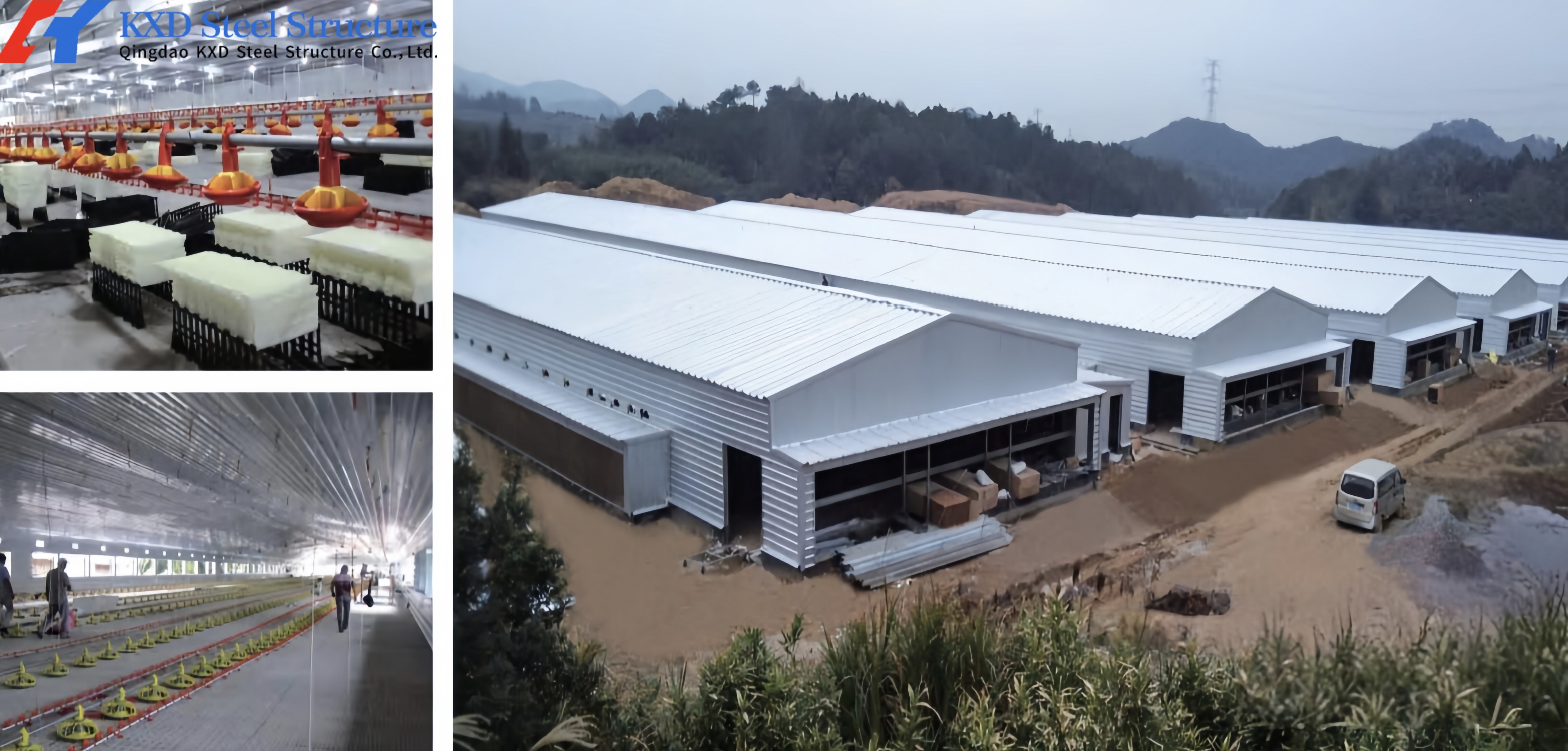 H Section Steel Poultry House Chicken Farm House Building