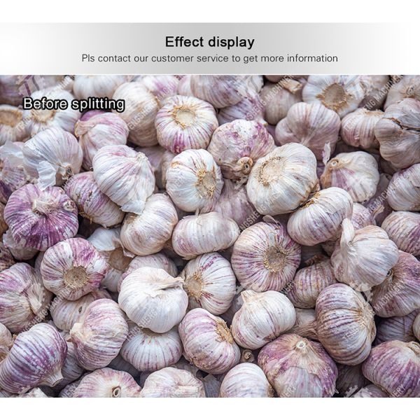 Garlic splitting machine minced garlic processing production Line