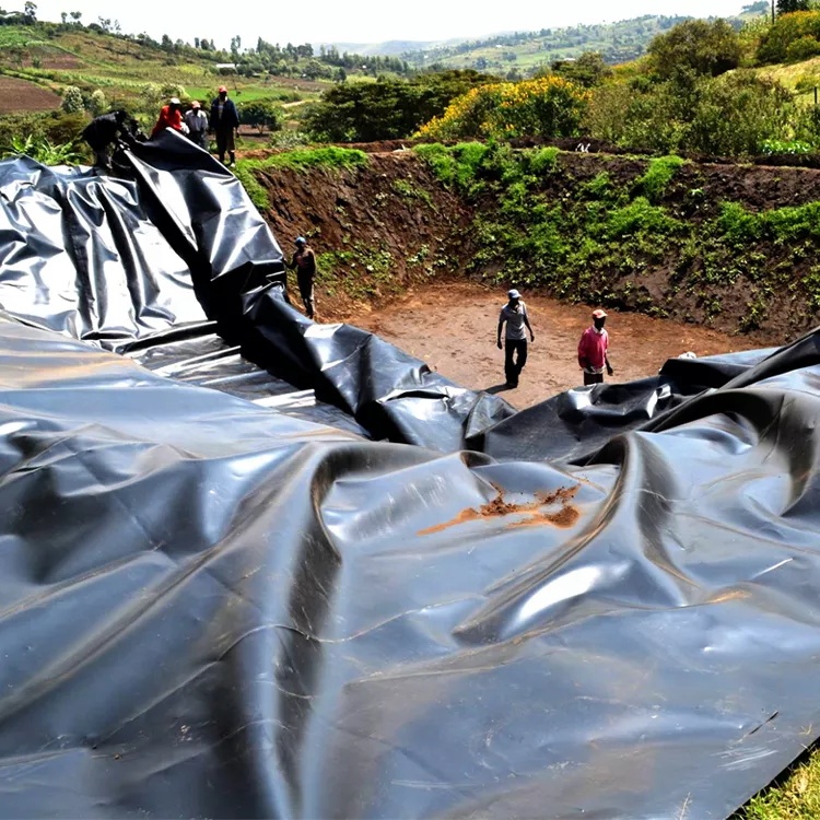 1mm 1.5mm 2mm HDPE Geomembrane Welding Machine Designed for Aquaculture Farming Needs