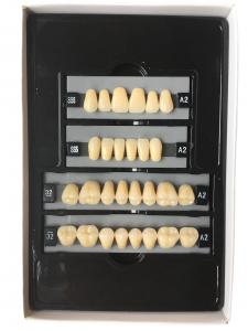 China Clear Dental Acrylic Resin Kit Teeth Synthetic 2 Layers Dent Resin Teeth on sale
