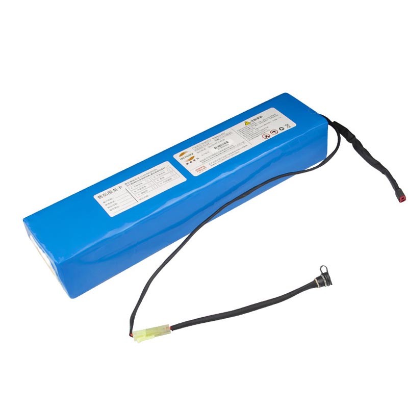 ROSH 48V 20Ah Rechargeable Lithium Battery Packs