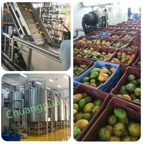 500-50000KG/H Mango Pulp Juice Machine Stainless Steel