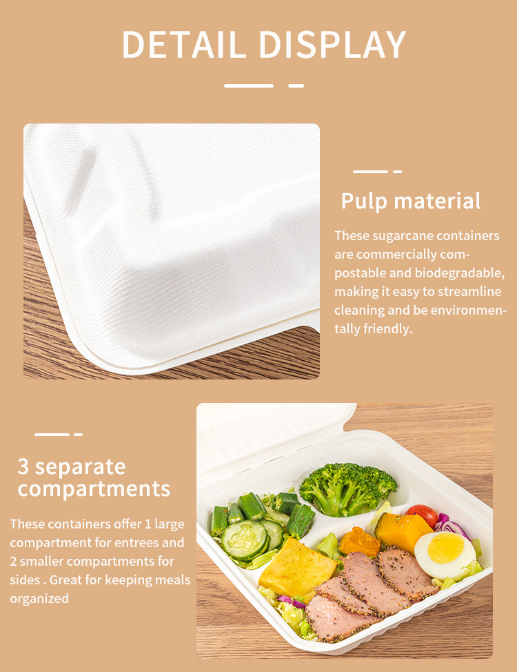 Blister Eco Compostable Clamshell 3 Compartment Disposable Lunch Box Sugarcane Bagasse
