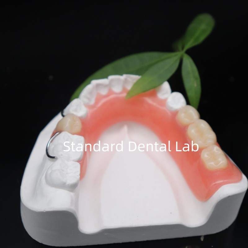 High Esthetics Dentsply Lucitone 199 Acrylic Denture acrylic resin for dentures China Dental lab