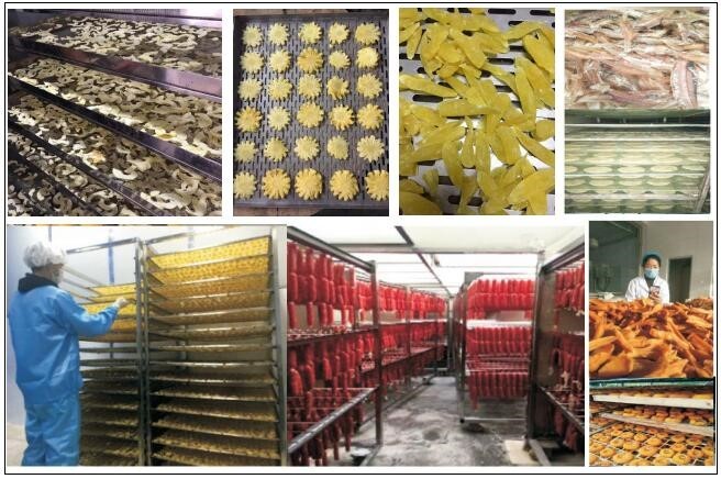 3HP Food Freeze Dryer Small Type Meat Vegetable Fruit Drying Machine