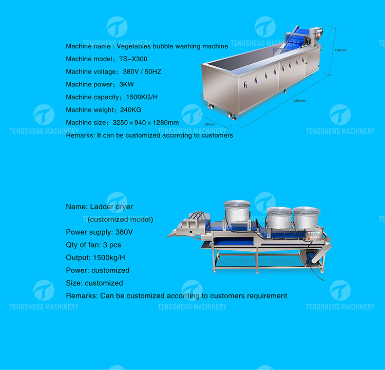 1500KG/H Fruit And Vegetable Processing Line cleaning Sorting Machine