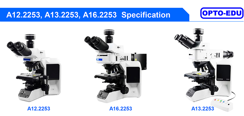 Opto Edu A16.2253 Fluorescence Microscope Infinity Plan Achromatic Optical System