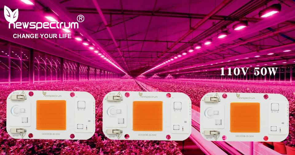 220V AC LED Module No Welding Chip Ac Cob Led For Indoor Plant Seedling Grow Lights
