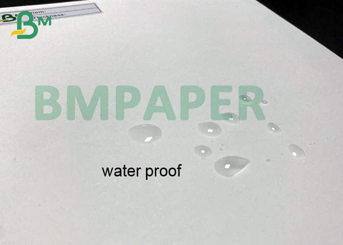 pe coated paper