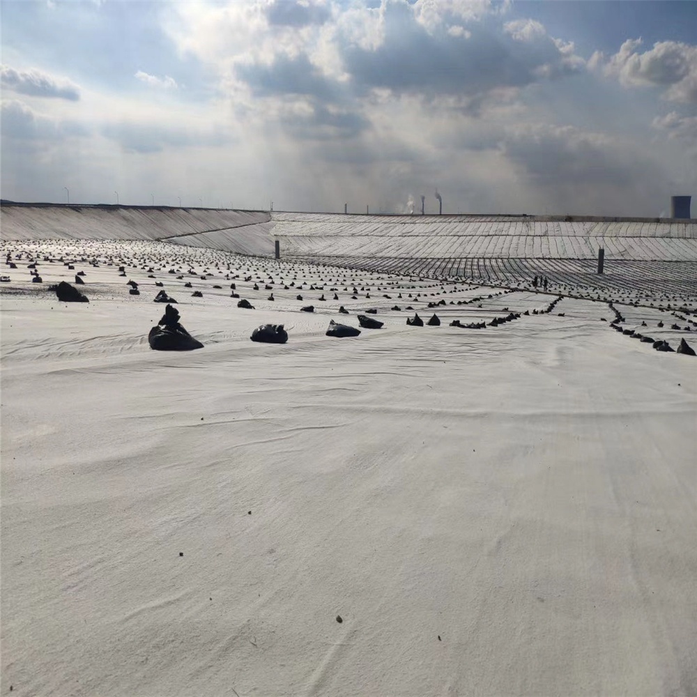 Drainage Engineering Solution 3D Geocomposite Drainage Mat with 5mm-12mm Geonet Core