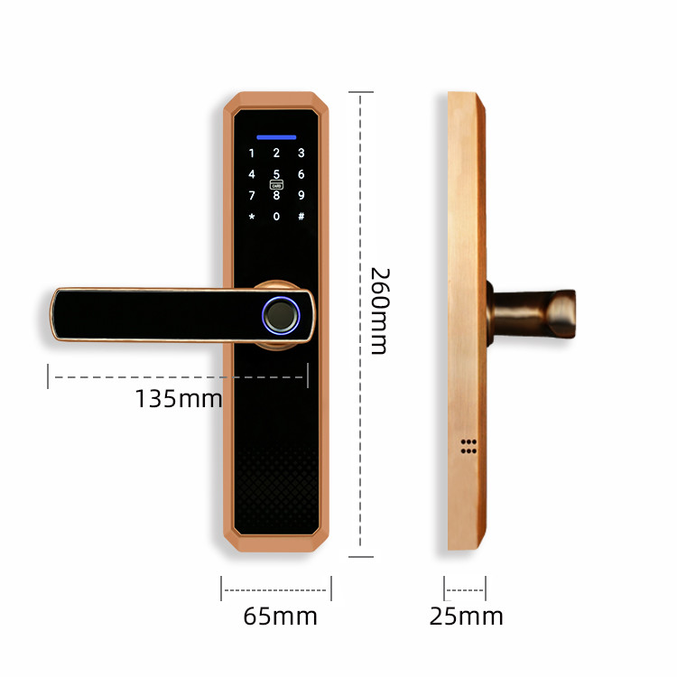 Tuya Fingerprint Door Lock