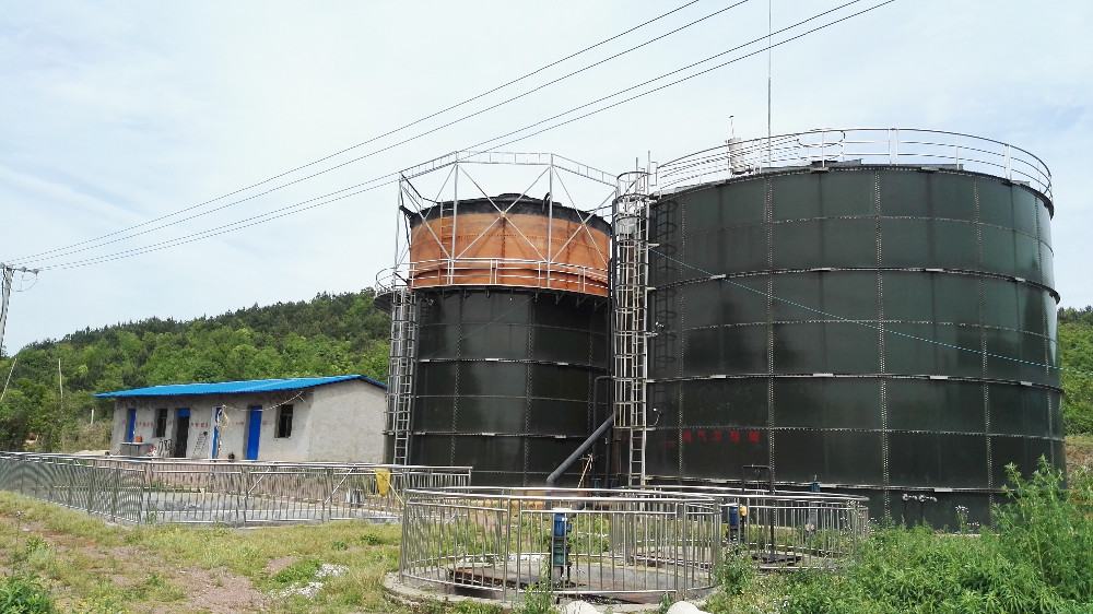 Silent Natural Gas LPG Generator as Home Standby Generator