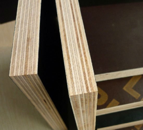 Formwork Concret Poplar 1250*2500mm Film Faced Plywood