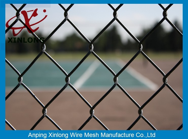 40*40mm Anti-Rust Diamond Wire Mesh Fence For Forest Protecting