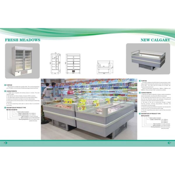 Plug-in type Frozen Display Showcase - New Calgary