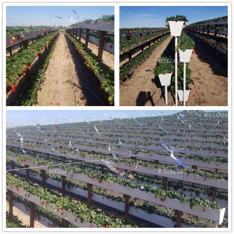 Farm Vertical PVC NFT Gully Planting Troughs Agriculture Vegetable Growing Trough