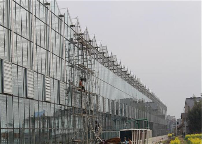 4m Section Width Glass Greenhouse Kit , Greenhouse System For Fruit Seedlings