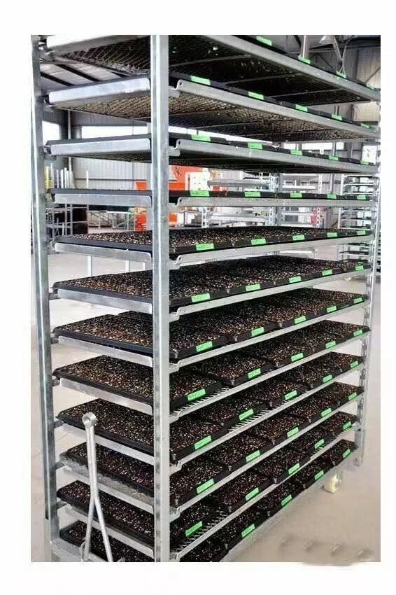 Hot Dip Galvanized Plywood Material Flower Trolley Heavy Wheel Easy To Install