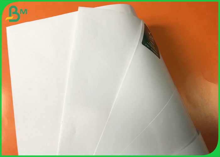 couche paper