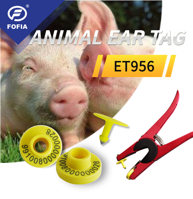 Small Electronic Ear Tags Low Frequency 24mm For Piglets 134.2KHz