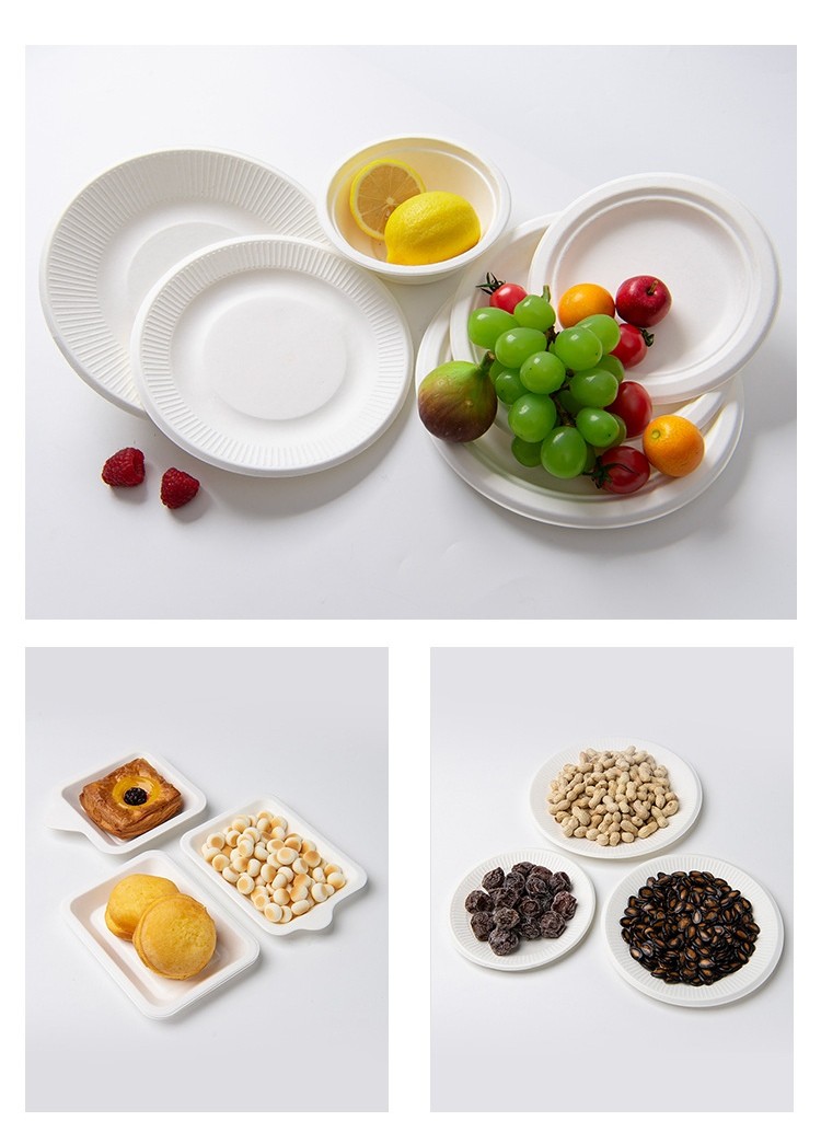 Natural Bagasse Disposable Plates Sugarcane Fibre Round Plate 6 7 8 9 10 Inch