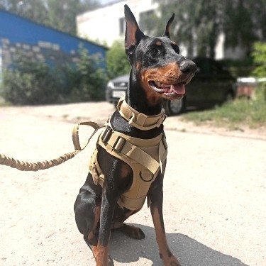 K9 Khaki No Pull Tactical Dog Harness 1000D Nylon Vest