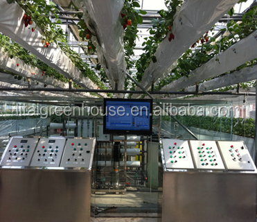 Multi Span Agriculture Greenhouse Height 3m Customized Length 50m