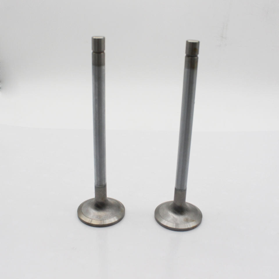 Isuzu 6RB1 Inlet Exhaust Diesel Engine Valve 1-12551129-0 1-12552028-0