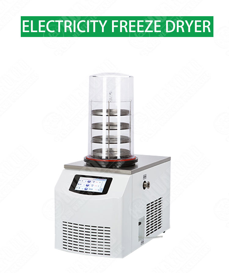 lab home vacuum freeze drying equipment desktop food lyophilizer manufacturer