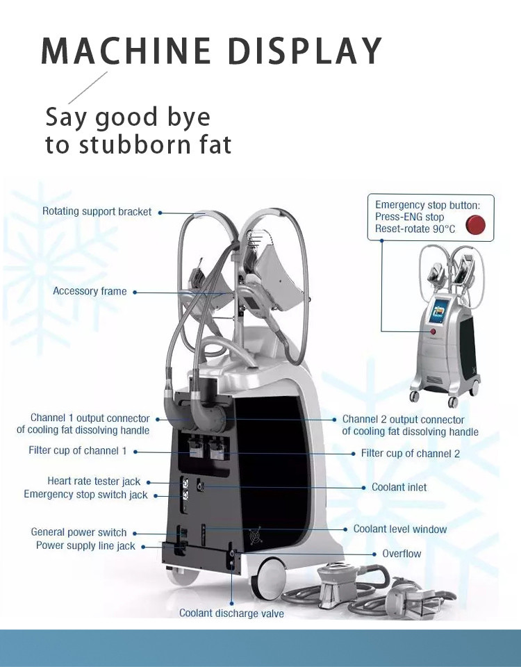 LF-202 4 handles fat reduce cryotherapy cryolipolysis slimming machine for sale