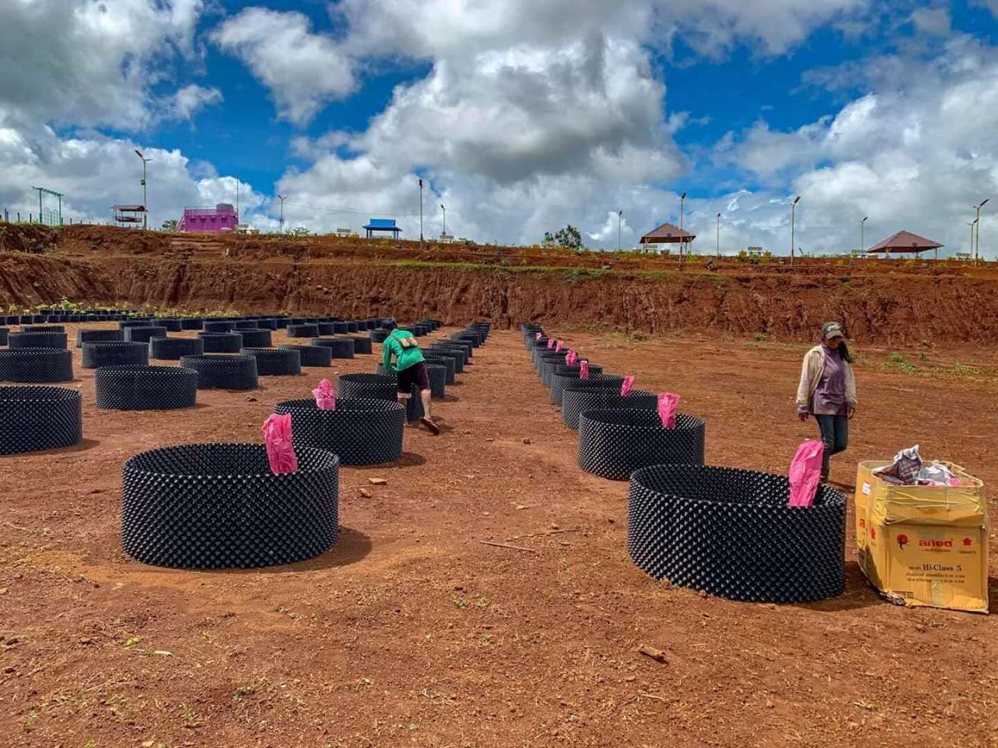HDPE material black plastic root control pots for Spruce