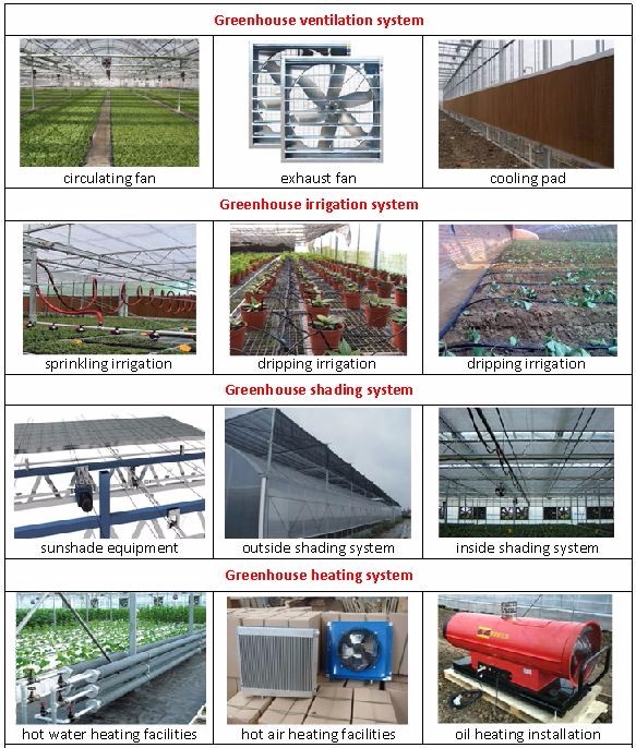 Multi-Span Greenhouse Film Customized for UV Protection and Optimal Growing Conditions