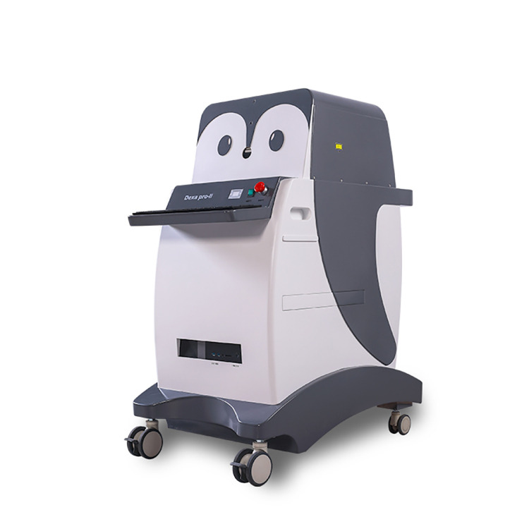 Accurate Dual Energy X-ray Absorptiometry Bone Densitometer