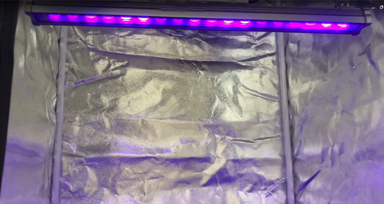 Aluminum IP65 385nm UVBar60 40W Led Grow Light Bar