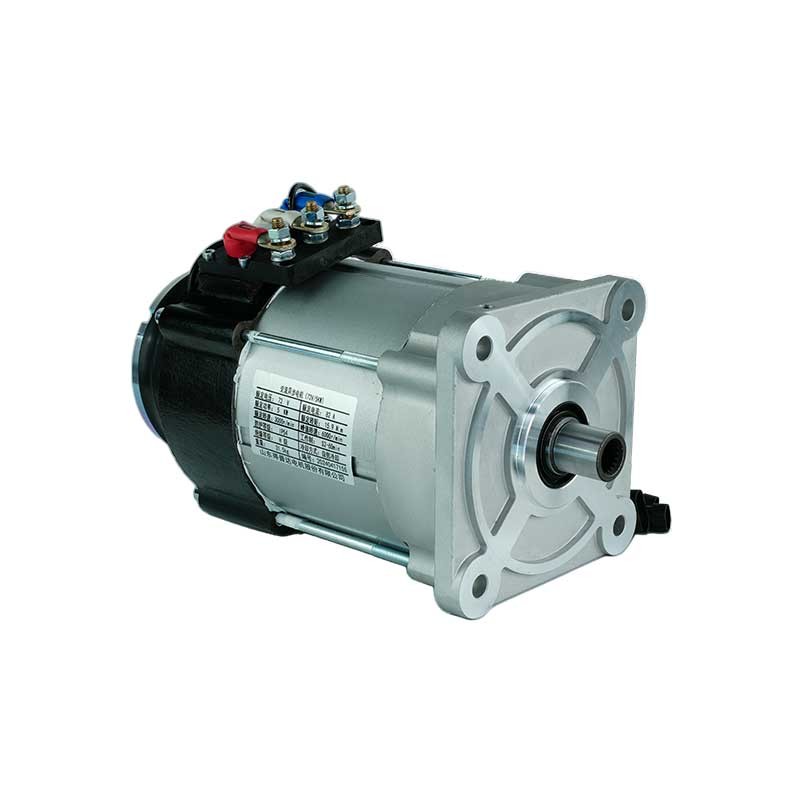 Electric Golf Cart Motor