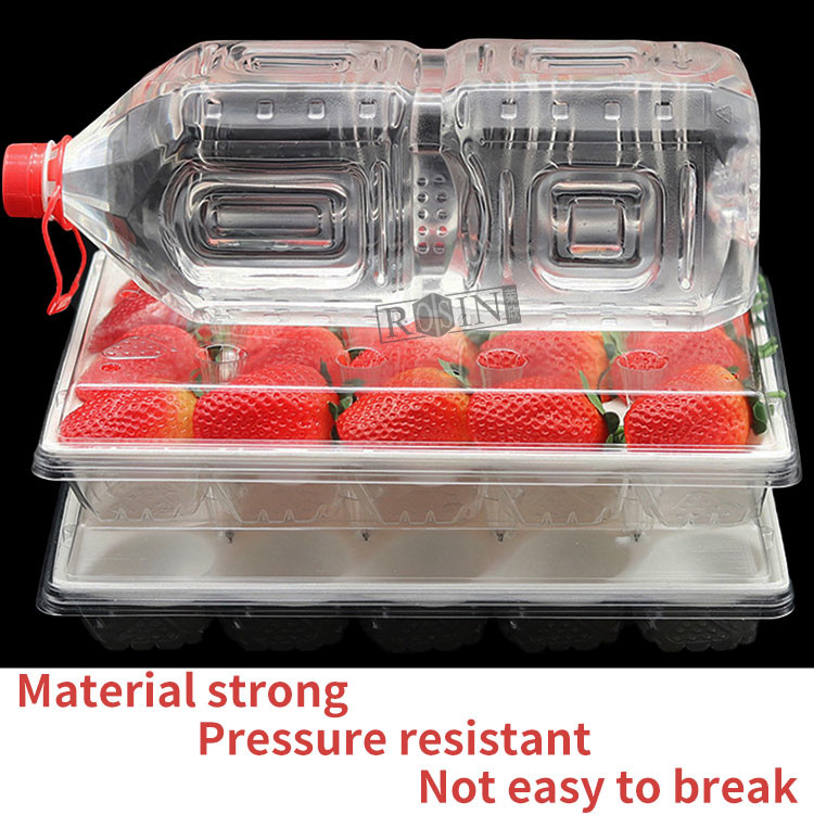 Strawberry Disposable Fruit Salad Containers Transparent PET With Inner Tray