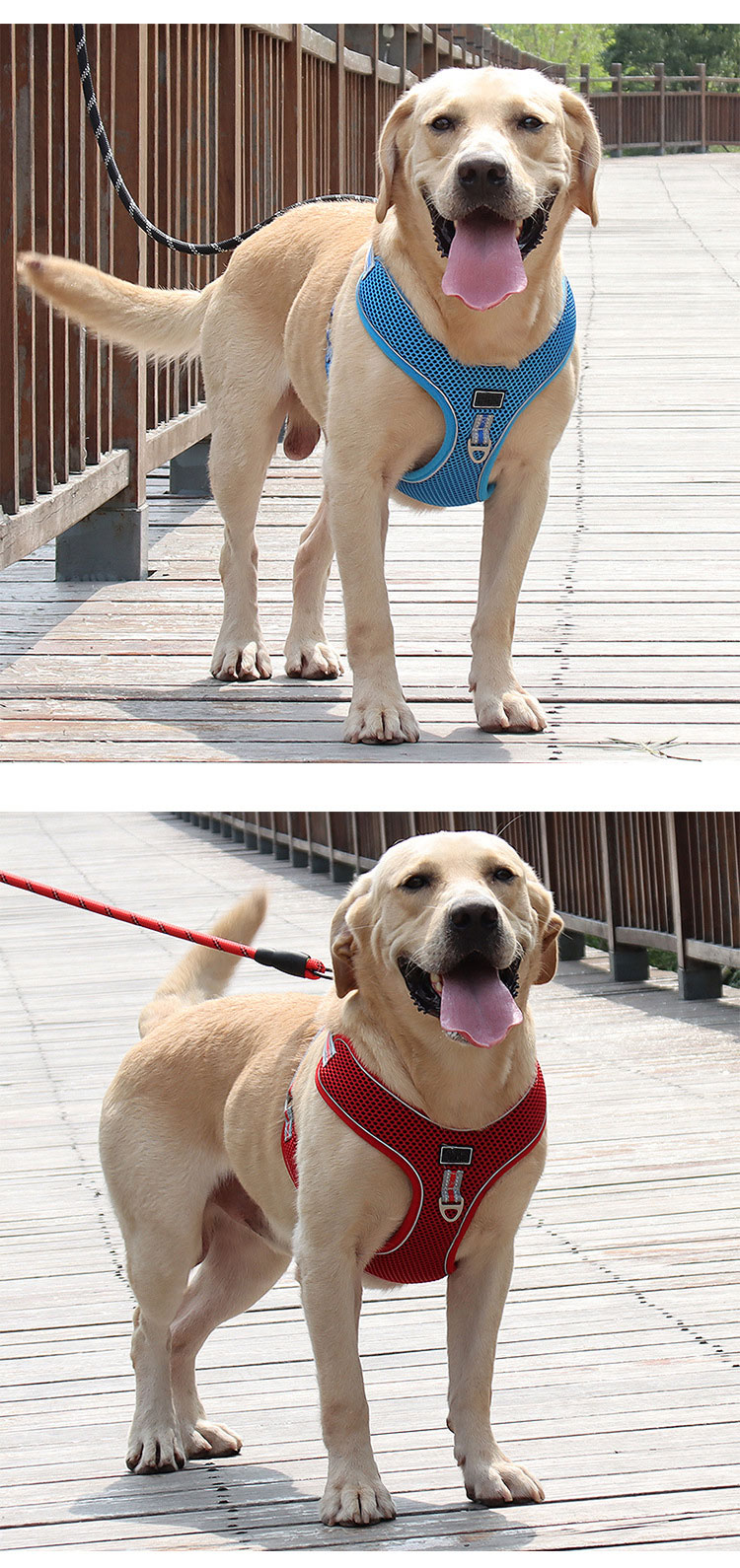 Plain Fabric Dog Cooling Vest Mesh Breathable Dog Body Harness And Leash