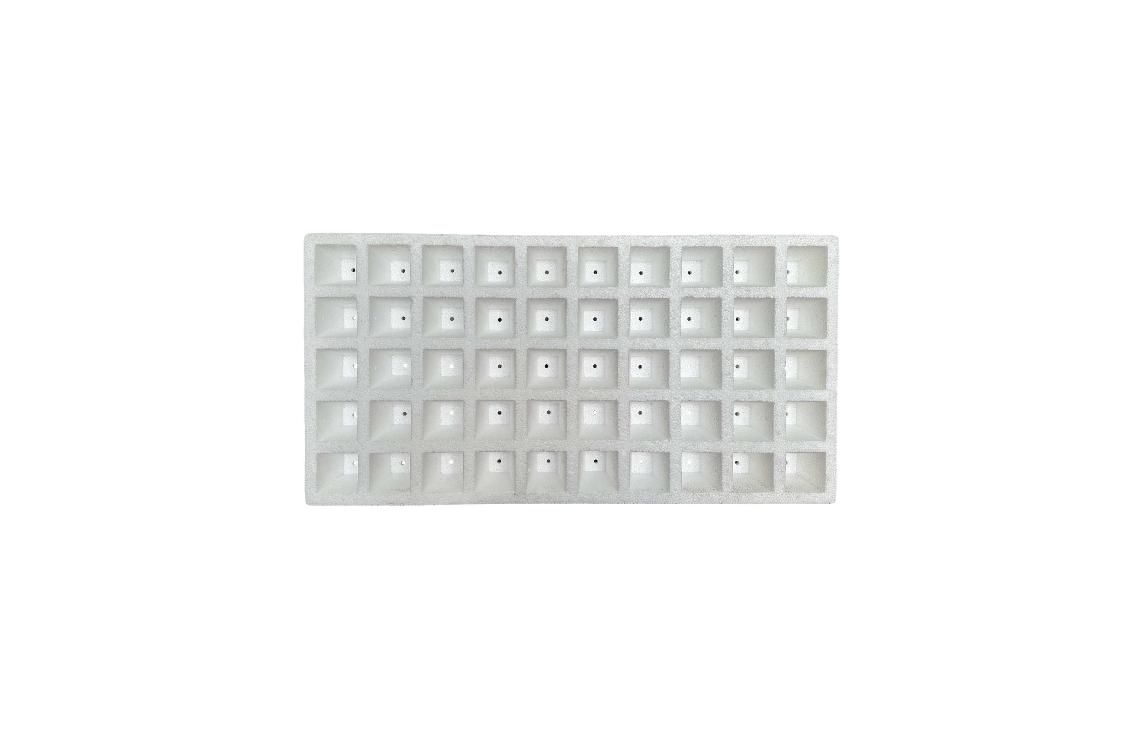 EPS Foam Seedling Tray 50 Points 120 Points 160 Points 200 Points Customized Wholesale Of Fruits Vegetables And Flowers