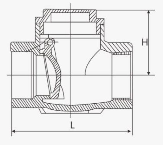 Stainless Steel 304/316 Factory Direct Swing Check Valve Wod Brand