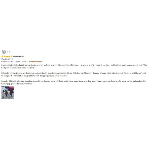 Well-Made Air-Mesh Padded Best Dog Carrier Backpack with Hook-and-Loop Closured Pockets