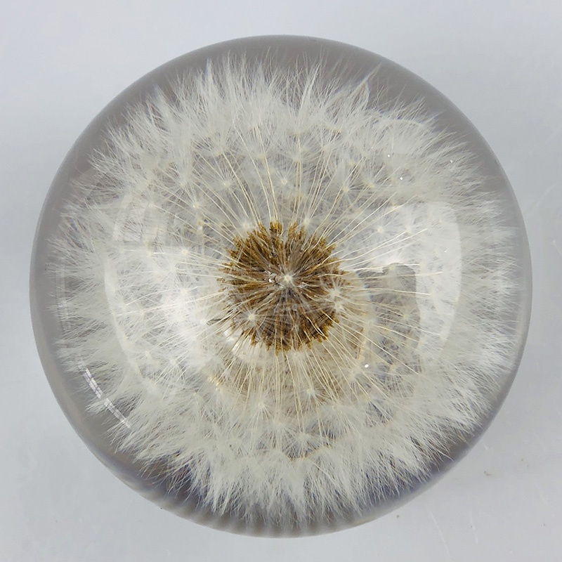 Gear shift knob with real dandelion inside