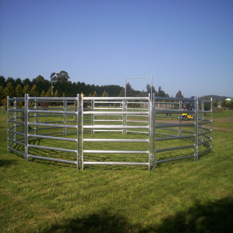 Portable Corral Panels For Cattle Permanent Yards Heavy Duty Cattle Yards