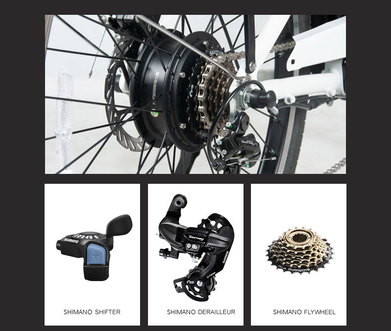 26 Inch 36V 250W Rear Hub Electric Bike With Front Disc Rear Disc Brake