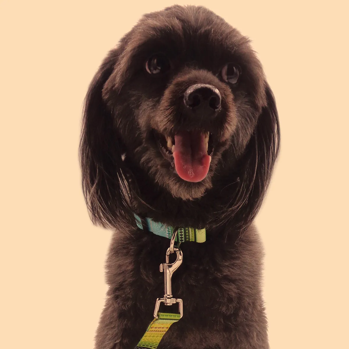 Dog Collar Hot Sale Multi-pattern Folk Style Fashionable