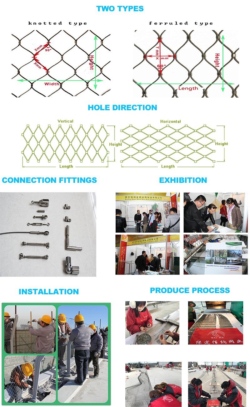 Stainless Steel 304 316 Wire Mesh Bird Netting Climbing Plant Mesh
