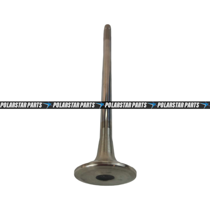 4926069 Exhaust Intake Valve M11 QSM11 ISM11 Diesel Engine 3417779