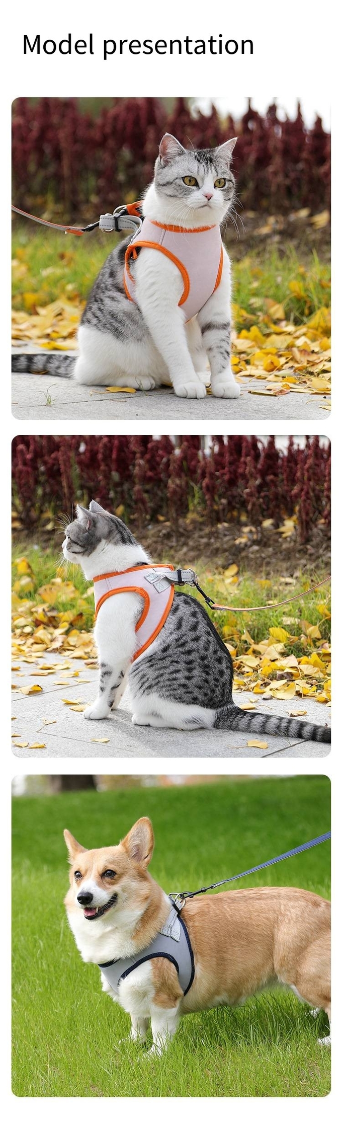 Pet Polyester Leash Breathable Mesh Harness For Dog Walking Small Dogs And Cats