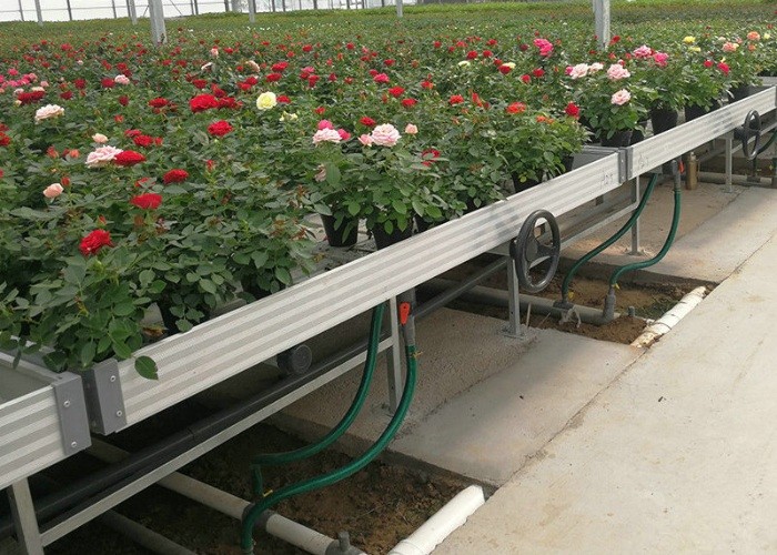 4x8feet Movable Ebb And Flood Rolling Bench Table Abs Tray In Greenhouse