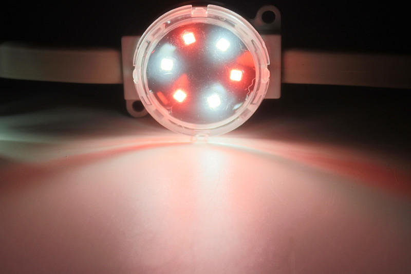 Miracle Bean SMD 3535 2W 24V IP67 RGBW LED Pixel